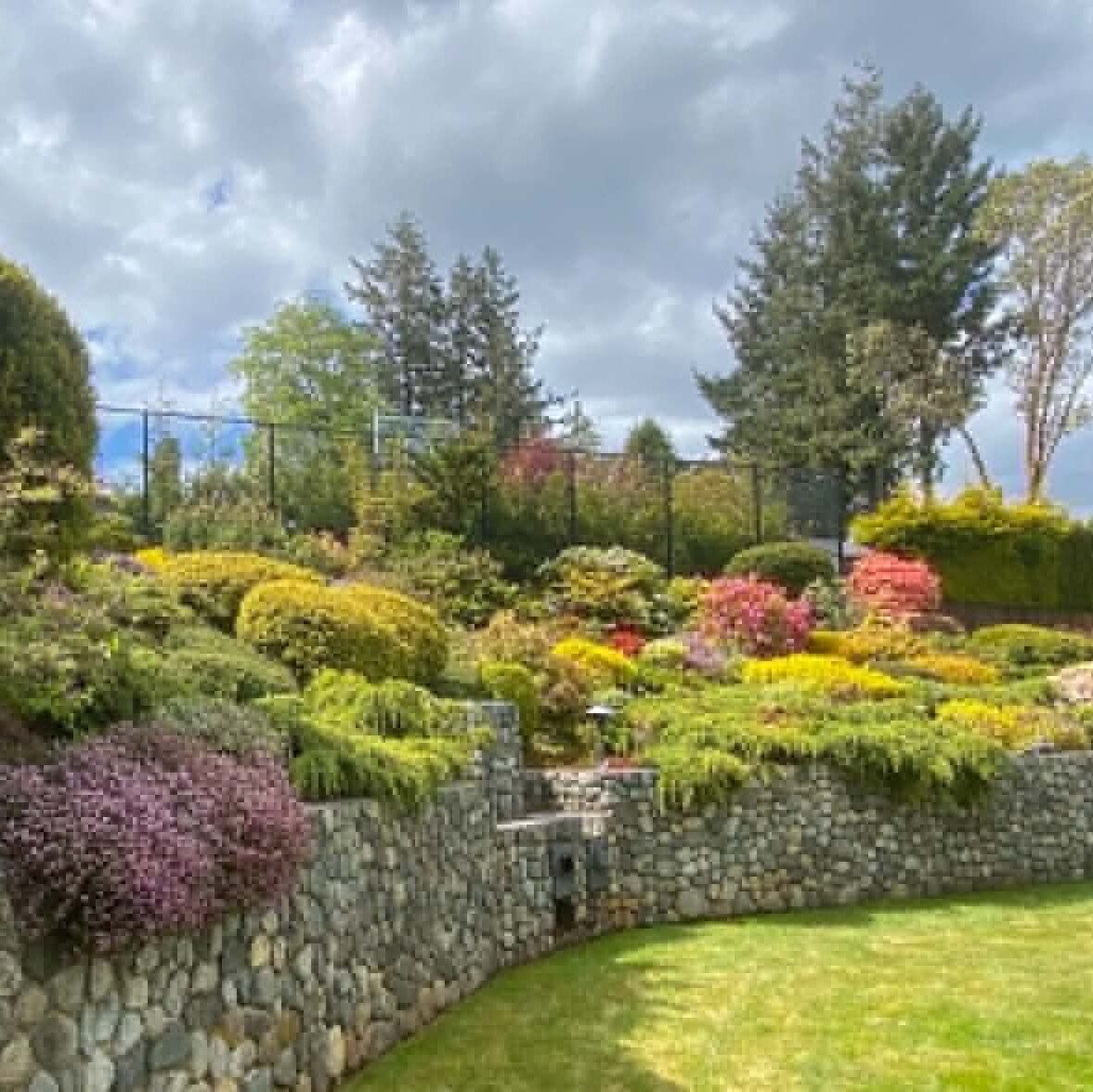Layered colourful shrub garden with a stone retaining wall