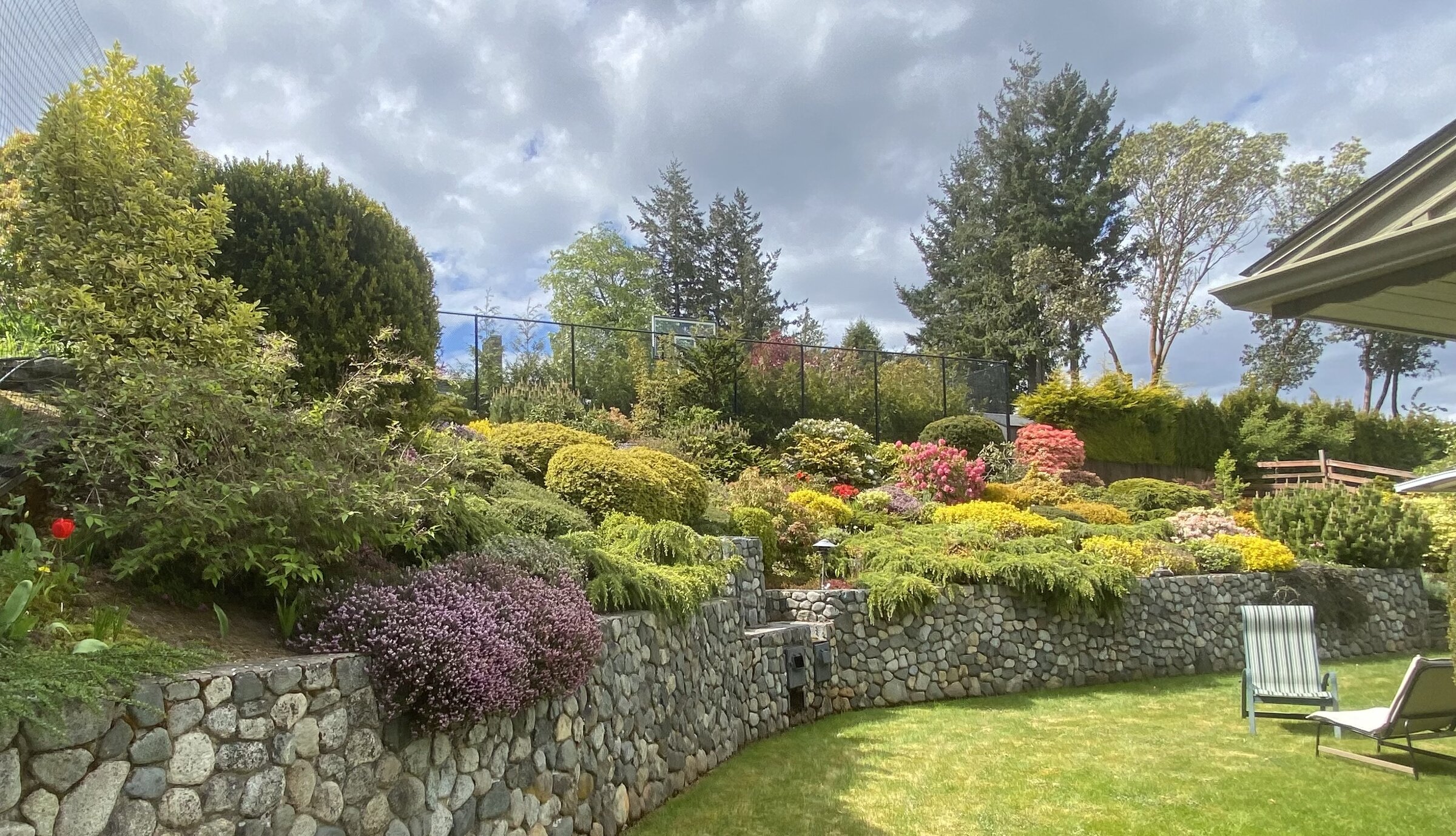 Sunny, colourful garden with a stone retaining wall, flowering shrubs, and a lawn, cared for by Edge of Eden Landscaping