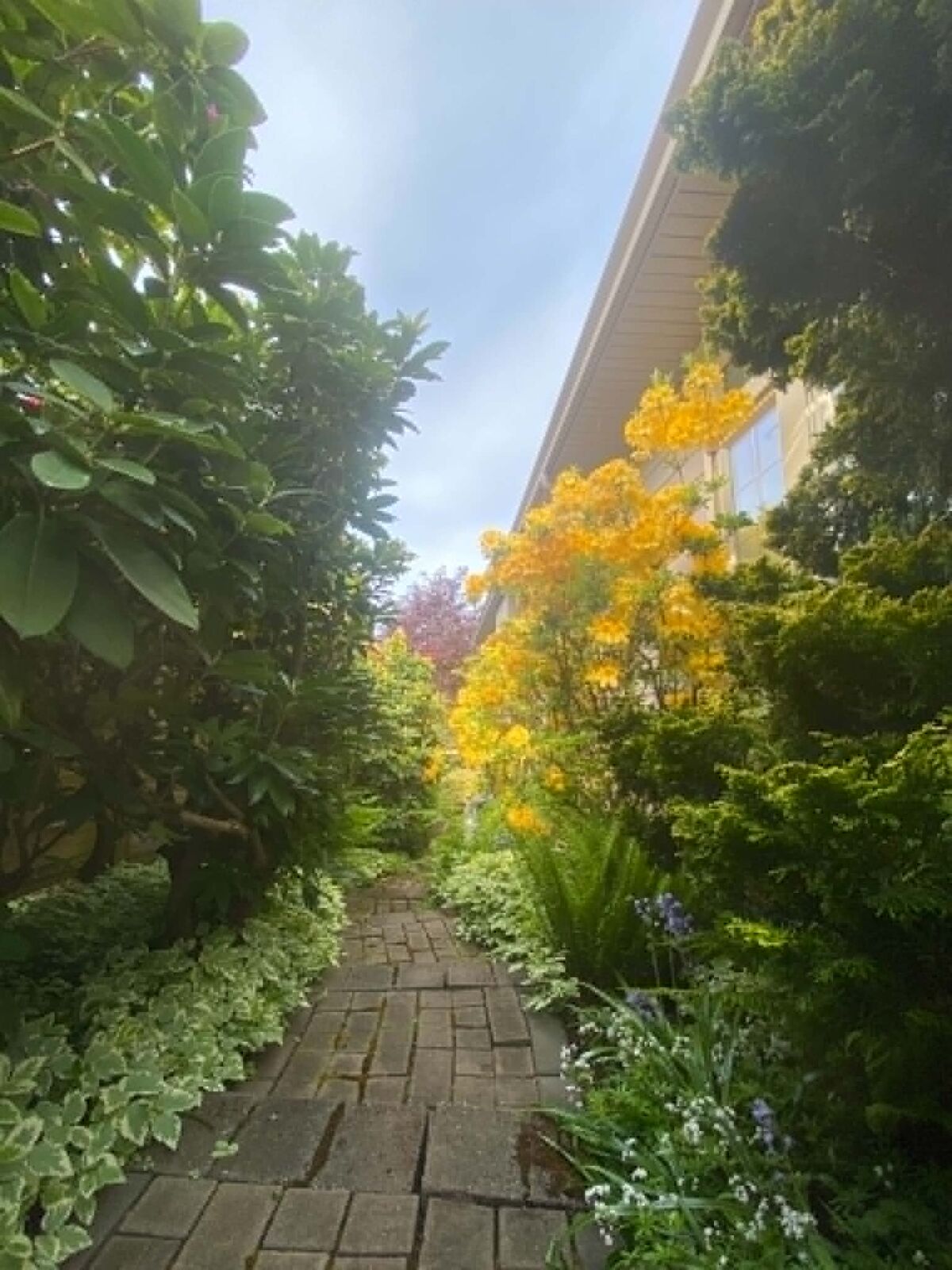 Tidy stone pathway through well-kept garden beds